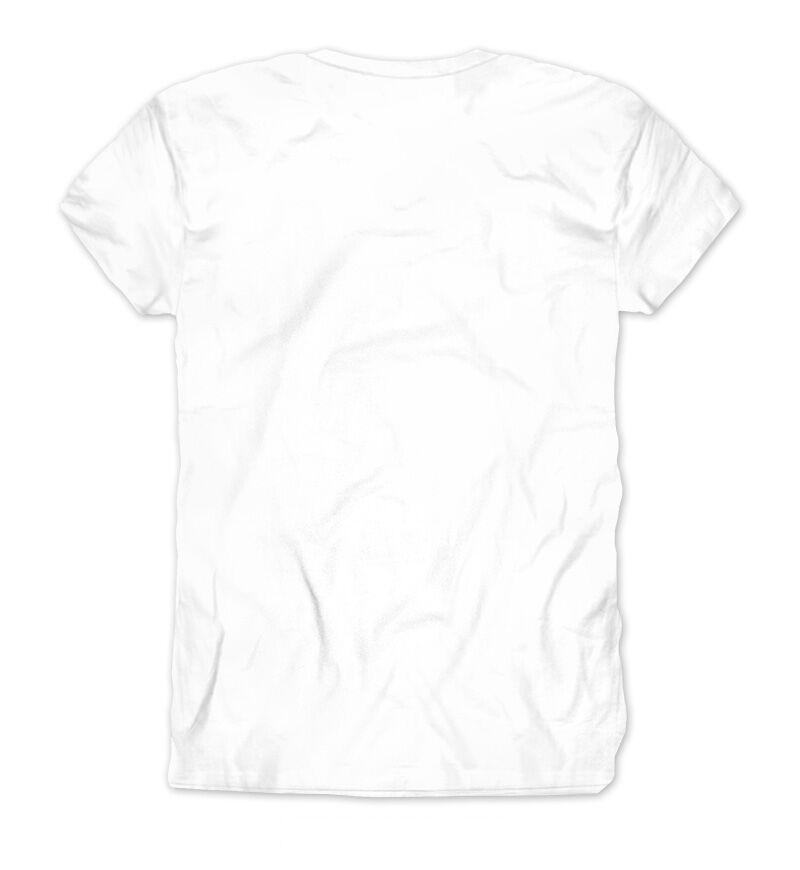 AbeBROham Lincoln Men's T-Shirt