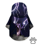 Lightning Cat Dog Hoodie