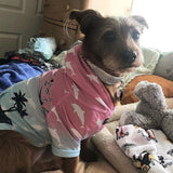 Summerwave Dog Hoodie