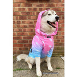 Summerwave Dog Hoodie