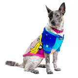 Master of the Galaxy Dog Hoodie